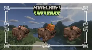 Capybara Resource Pack (1.19) – MCPE/Bedrock