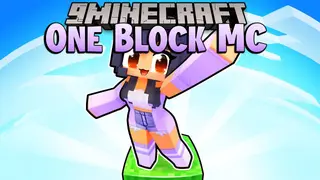One Block MC Modpack (1.16.5) – Very Light Survival Map