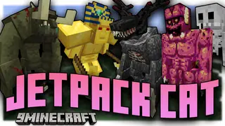 Jetpack Cat Modpack (1.16.5) – Run, Slash, Shoot And Have Fun