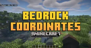 Bedrock Coordinates Mod (26.2, 1.21.1) – On-Screen Coordinates