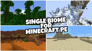 Pure Buffet Map (1.19) – Single Biome World for MCPE
