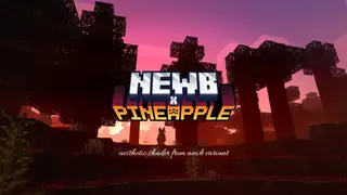 NewB X Pineapple Shader (1.26+) – Support RenderDragon