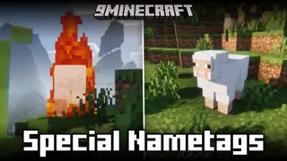 Special Nametags Mod (26.2, 1.21.1) – Nametags With Special Effects