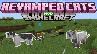Revamped Cats Mod (26.2, 1.20.1) – Better Companions