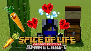 Spice of Life Carrot Edition Mod (26.2, 1.20.1) – Turn Food Into More Health