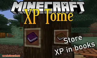 XP Tome Mod (26.2, 1.20.1) – Store and Withdraw XP Easily