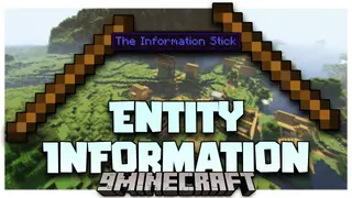 Entity Information Mod (26.2, 1.20.1) – Information Stick Tool