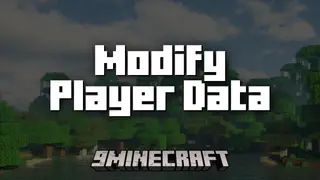 Modify Player Data Mod (26.2, 1.20.1) – Allows Data Commands To Modify Player Data