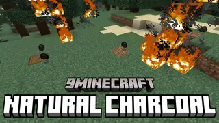 Natural Charcoal Mod (26.2, 1.20.1) – Logs Burning Produce Charcoal