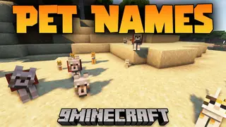 Pet Names Mod (26.2, 1.20.1) – Mob Name Generator