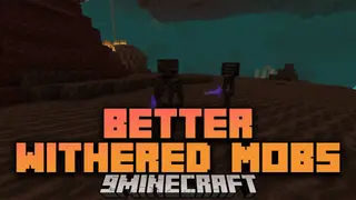 Better Withered Mobs Mod (26.1.2, 1.20.1) – Withering Enchantment