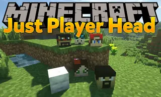 Just Player Heads Mod (26.2, 1.20.1) – Players Drop Head on Death