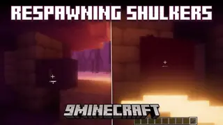 Respawning Shulkers Mod (26.2, 1.20.1) – Shulkers Respawn Infinitely