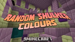 Random Shulker Colours Mod (26.2, 1.20.1) – A Pop Of Color In The End