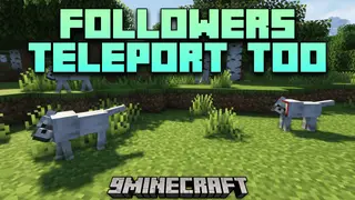 Followers Teleport Too Mod (26.2, 1.20.1) – Teleport Tamed Pets with You