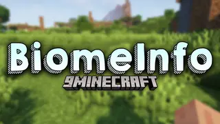 BiomeInfo Mod (26.2, 1.20.1) – Find Out Which Biome You're In