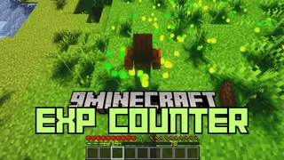 EXP Counter Mod (26.2, 1.20.1) – Customizable Information