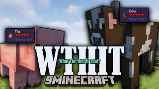 WTHIT Mod (26.1.2, 1.20.1) – What The Hell Is That?