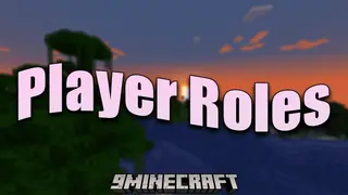 Player Roles Mod (26.2, 1.20.1) – Role & Permission Management for Servers