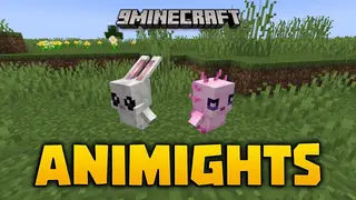 Animights Mod (1.20.1, 1.20) – Loyal Squire