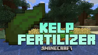 Kelp Fertilizer Mod (26.2, 1.20.1) – Kelp Works Like Bone Meal