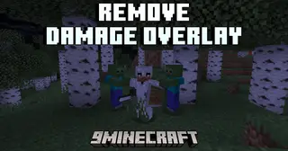 Remove Damage Overlay Shaders (26.2, 1.20.1) – Remove Damage Tint
