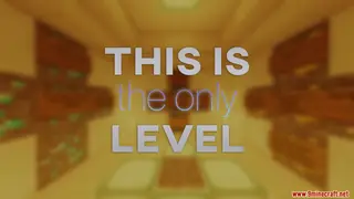 This Is The Only Level Map (26.2, 1.20.1) for Minecraft