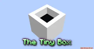 The Tiny Box Map (26.2, 1.20.1) for Minecraft