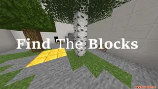 Find The Blocks Map (26.2, 1.20.1) for Minecraft