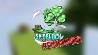 SkyBlock Reimagined Map (26.2, 1.20.1) for Minecraft