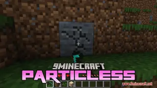 Particless Resource Pack (1.21.1, 1.20.1) – Texture Pack