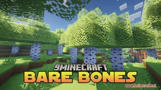 Bare Bones Resource Pack (1.21.1, 1.20.1) – Texture Pack