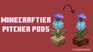 Minecraftier Pitcher Pods Resource Pack (1.21.1, 1.20.1) – Texture Pack