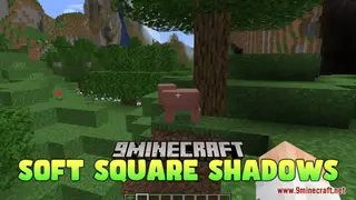 Soft Square Shadows Resource Pack (1.21.1, 1.20.1) – Texture Pack