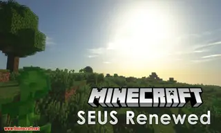SEUS Renewed Shaders (26.2, 1.20.1) – Best Minecraft Shaders