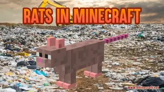 Rats In Minecraft Resource Pack (1.21.1, 1.20.1) – Texture Pack