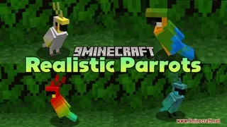 Realistic Parrots Resource Pack (1.21.1, 1.20.1) – Texture Pack