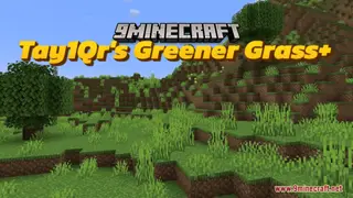 Tay1Qr's Greener Grass+ Resource Pack (1.21.1, 1.20.1) – Texture Pack