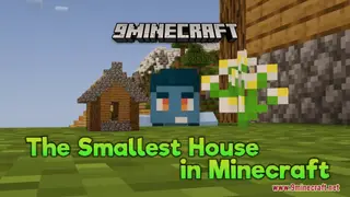 The Smallest House In Minecraft Resource Pack (1.21.1, 1.20.1) – Texture Pack