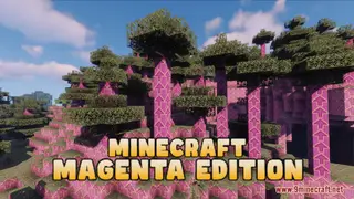Minecraft Magenta Edition Resource Pack (1.21.1, 1.20.1) – Texture Pack