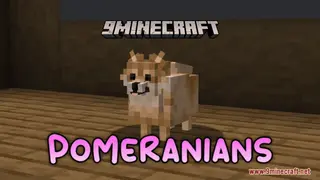 Pomeranians Resource Pack (1.21.1, 1.20.1) – Texture Pack