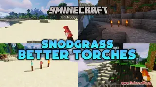 Snodgrass Better Torches Resource Pack (1.21.1, 1.20.1) – Texture Pack