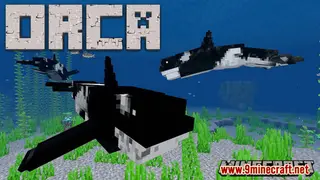 Orca / Killer Whale Addon (1.19, 1.18) – MCPE/Bedrock Mod