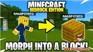 Block Disguise Addon (1.19, 1.18) for Minecraft PE/Bedrock