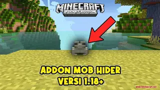 Mob Hider Addon (1.19) – Hide Inside Every Mob