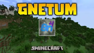 Gnetum Mod (26.2, 1.20.1) – Play with Higher FPS and Zero Annoying Lag Spikes