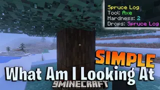 Simple What Am I Looking At Addon (26.x, 1.21) – View Block And Mob Details On Screen