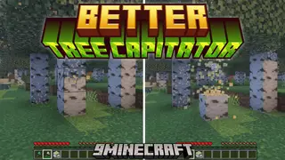 Better Tree Capitator Addon (26.x, 1.21) – Harvest Entire Trees With A Single Swing