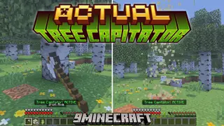 Actual Tree Capitator Addon (26.x) – Chop Down Entire Trees Instantly