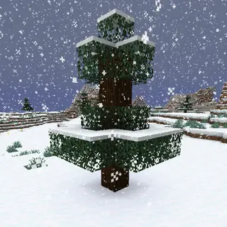 Snow Under Trees